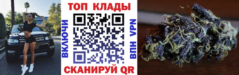 Лсд 25 Магас