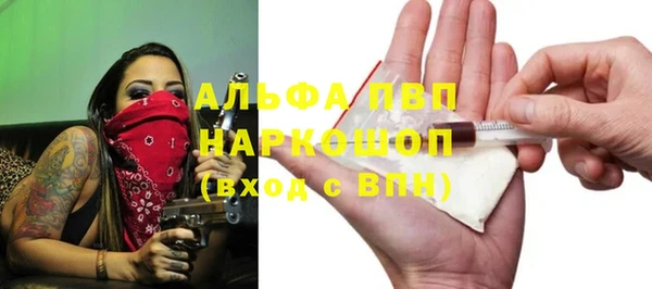 индика Волосово