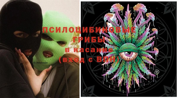 молекула духа Вязьма